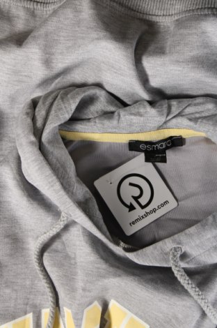 Damen Sweatshirt Esmara, Größe L, Farbe Grau, Preis 10,09 €