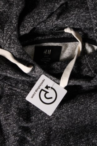 Γυναικείο φούτερ H&M, Μέγεθος L, Χρώμα Γκρί, Τιμή 4,31 €