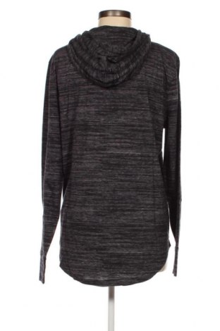 Damen Sweatshirt Hollister, Größe L, Farbe Mehrfarbig, Preis 10,07 €