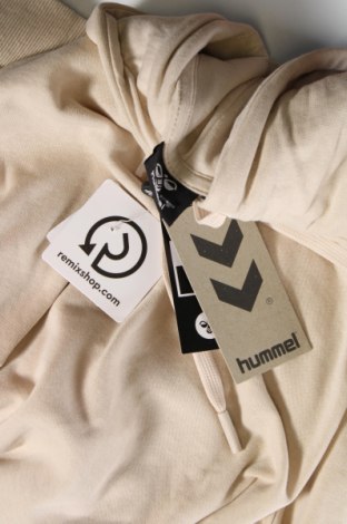 Damen Sweatshirt Hummel, Größe XS, Farbe Beige, Preis 10,55 €