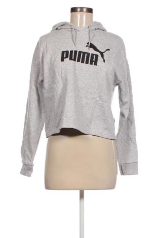 Damen Sweatshirt PUMA, Größe XS, Farbe Grau, Preis 31,73 €