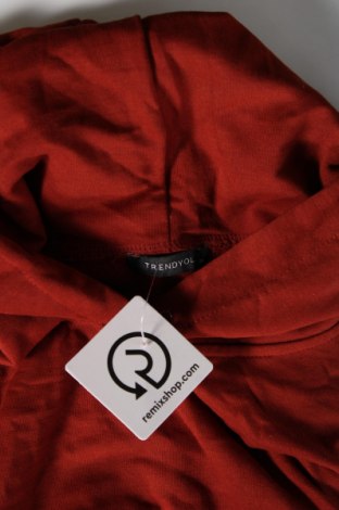Damen Sweatshirt Trendyol, Größe XS, Farbe Braun, Preis € 5,71