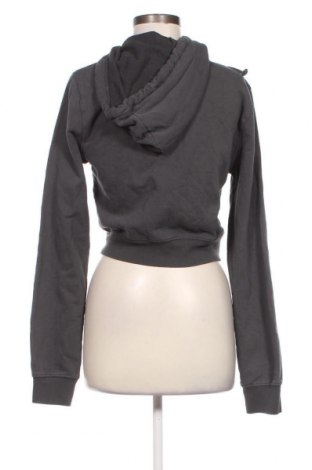 Damen Sweatshirt Urban Outfitters, Größe M, Farbe Grau, Preis € 23,97