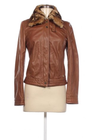 Damen Lederjacke Massimo Dutti, Größe S, Farbe Braun, Preis € 86,78