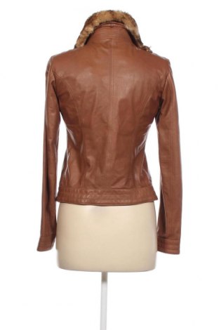 Damen Lederjacke Massimo Dutti, Größe S, Farbe Braun, Preis 86,78 €