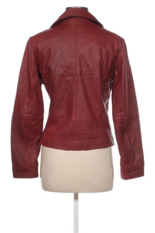 Damen Lederjacke Promod, Größe M, Farbe Rot, Preis 77,62 €