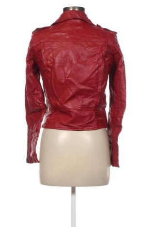 Damen Lederjacke Zara, Größe S, Farbe Rot, Preis € 28,53