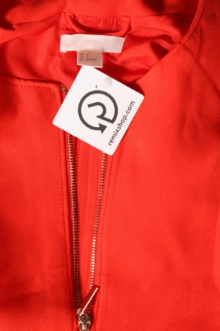 Damenmantel H&M, Größe M, Farbe Orange, Preis € 8,46