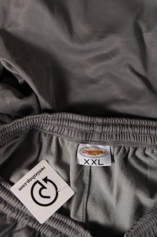 Γυναικείο αθλητικό παντελόνι Chor, Μέγεθος XXL, Χρώμα Γκρί, Τιμή 7,52 €
