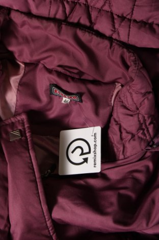 Γυναικείο μπουφάν, Μέγεθος XL, Χρώμα Βιολετί, Τιμή 15,79 €