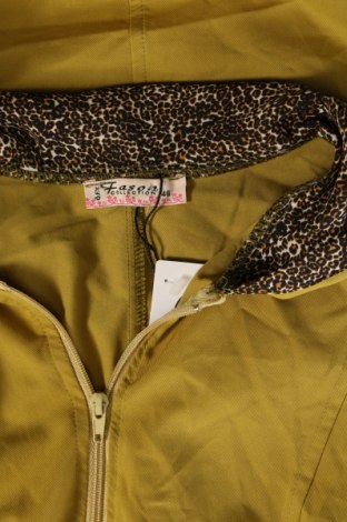 Damenjacke, Größe XL, Farbe Grün, Preis 33,40 €