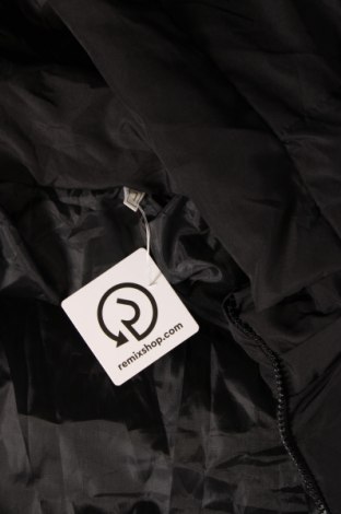 Dámska bunda , Veľkosť M, Farba Čierna, Cena  16,45 €