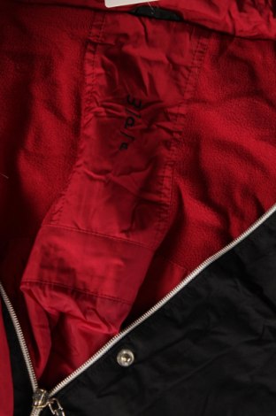 Dámská bunda , Velikost XL, Barva Černá, Cena  370,00 Kč