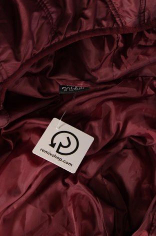 Dámska bunda  Colours Of The World, Veľkosť M, Farba Červená, Cena  11,43 €
