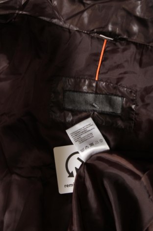 Dámska bunda  Concept K, Veľkosť XL, Farba Hnedá, Cena  11,70 €