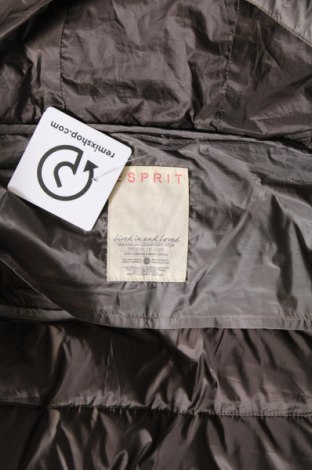 Damenjacke Esprit, Größe XL, Farbe Grau, Preis € 29,75