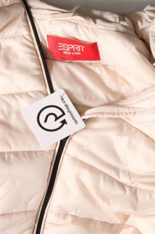 Dámska bunda  Esprit, Veľkosť S, Farba Béžová, Cena  80,41 €