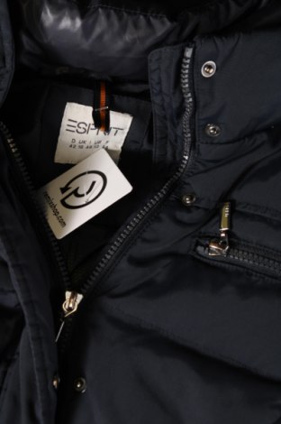 Dámska bunda  Esprit, Veľkosť L, Farba Modrá, Cena  21,27 €