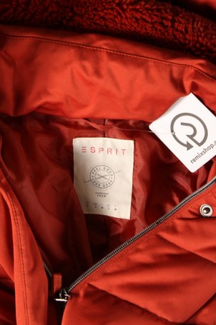 Dámska bunda  Esprit, Veľkosť S, Farba Hnedá, Cena  25,09 €