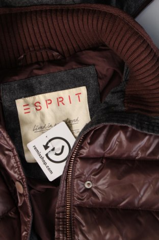 Дамско яке Esprit, Размер XS, Цвят Кафяв, Цена 46,50 лв.
