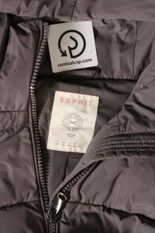 Γυναικείο μπουφάν Esprit, Μέγεθος XL, Χρώμα Γκρί, Τιμή 27,37 €