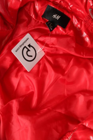 Γυναικείο μπουφάν H&M, Μέγεθος L, Χρώμα Κόκκινο, Τιμή 21,17 €