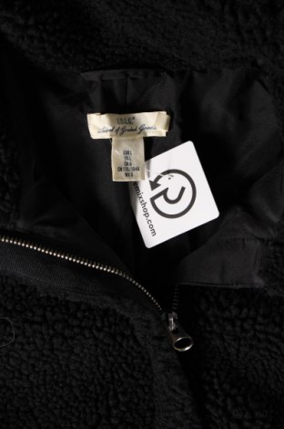 Damenjacke H&M L.O.G.G., Größe L, Farbe Schwarz, Preis 25,83 €