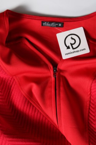 Γυναικείο μπουφάν Laura Torelli, Μέγεθος M, Χρώμα Κόκκινο, Τιμή 10,39 €