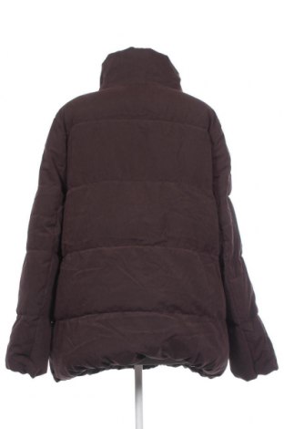 Damenjacke Zizzi, Größe L, Farbe Braun, Preis 23,38 €