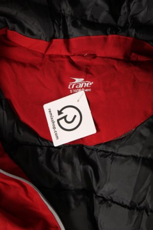 Dámska bunda pre zimné športy  Crane, Veľkosť S, Farba Sivá, Cena  24,38 €