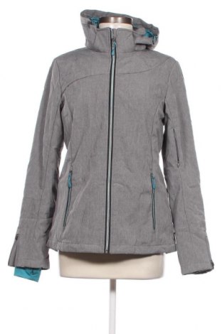 Γυναίκειο μπουφάν για χειμερινά σπορ Crane, Μέγεθος M, Χρώμα Γκρί, Τιμή 17,56 €
