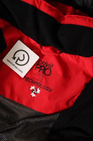 Dámská bunda pro zimní sporty  Crivit, Velikost S, Barva Červená, Cena  768,00 Kč