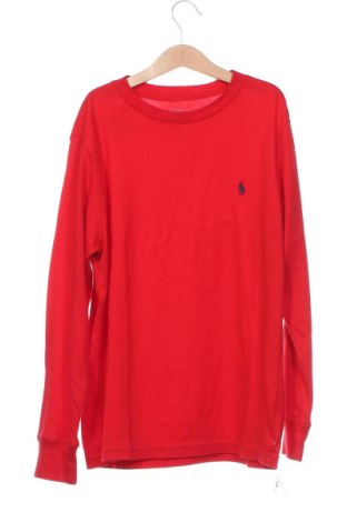 Kinder Shirt Polo By Ralph Lauren, Größe 15-18y/ 170-176 cm, Farbe Rot, Preis 29,90 €