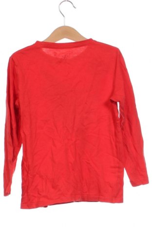 Dziecięca bluzka Tex, Rozmiar 6-7y/ 122-128 cm, Kolor Czerwony, Cena 27,59 zł