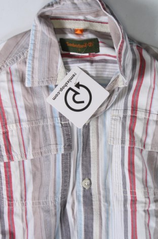 Παιδικό πουκάμισο Timberland, Μέγεθος 3-4y/ 104-110 εκ., Χρώμα Πολύχρωμο, Τιμή 7,30 €