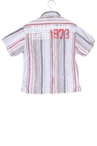 Παιδικό πουκάμισο Timberland, Μέγεθος 3-4y/ 104-110 εκ., Χρώμα Πολύχρωμο, Τιμή 7,30 €