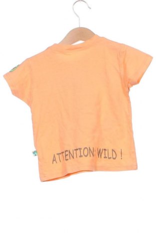 Kinder T-Shirt, Größe 12-18m/ 80-86 cm, Farbe Orange, Preis 6,14 €