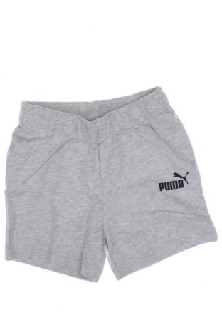 Kinder Shorts PUMA, Größe 18-24m/ 86-98 cm, Farbe Grau, Preis € 24,12
