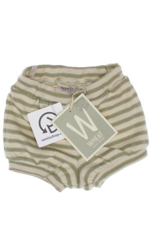 Παιδικό κοντό παντελόνι Wheat, Μέγεθος 3-6m/ 62-68 εκ., Χρώμα Πράσινο, Τιμή 6,05 €