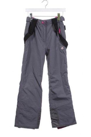 Pantaloni pentru copii pentru sporturi de iarnă Alive, Mărime 10-11y/ 146-152 cm, Culoare Gri, Preț 37,99 Lei