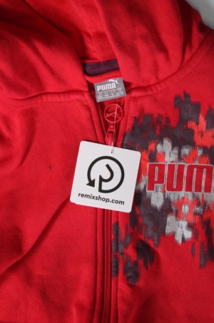 Kinder Sweatshirts PUMA, Größe 15-18y/ 170-176 cm, Farbe Rot, Preis 28,18 €