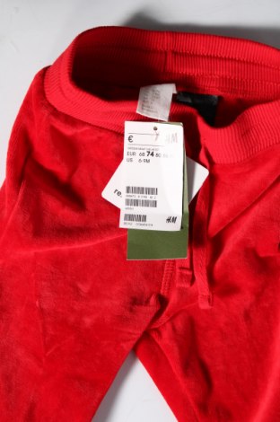 Kinder Sporthose H&M, Größe 9-12m/ 74-80 cm, Farbe Rot, Preis € 6,67