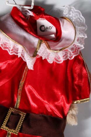 Kostým na karneval  Ciao, Velikost 2-3y/ 98-104 cm, Barva Vícebarevné, Cena  470,00 Kč