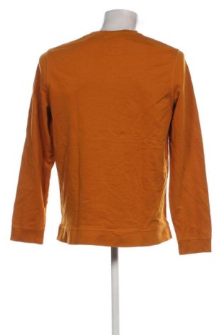 Herren Shirt Brice, Größe L, Farbe Gelb, Preis € 6,21