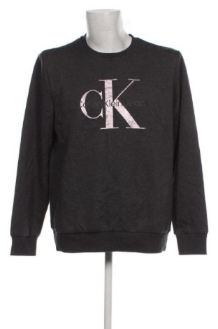 Ανδρική μπλούζα Calvin Klein Jeans, Μέγεθος L, Χρώμα Γκρί, Τιμή 28,21 €