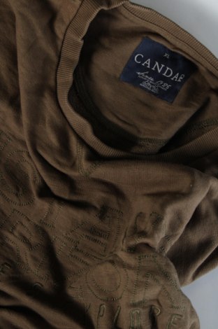 Ανδρική μπλούζα Canda, Μέγεθος XL, Χρώμα Πράσινο, Τιμή 4,58 €