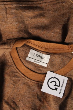 Pánské tričko  Esprit, Velikost XL, Barva Hnědá, Cena  146,00 Kč