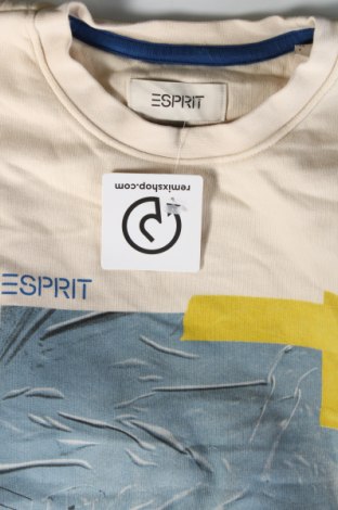 Pánské tričko  Esprit, Velikost M, Barva Béžová, Cena  163,00 Kč