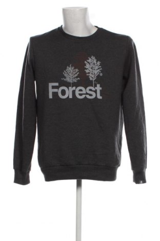 Ανδρική μπλούζα Forest, Μέγεθος L, Χρώμα Γκρί, Τιμή 8,66 €