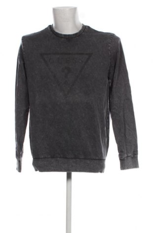 Ανδρική μπλούζα Guess, Μέγεθος M, Χρώμα Γκρί, Τιμή 19,79 €